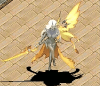 20250112-215735.gif