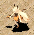 20250112-215910.gif