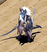 20250211-151442.gif