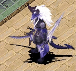 20250211-151852.gif