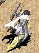 20250211-152757.gif