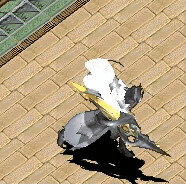 20250211-152920.gif